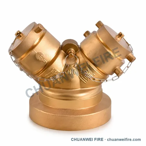 Twin-Cap Heavy-Base Fire Department Connection — UF-023 / UF-024
