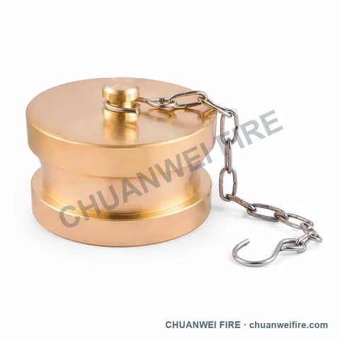 BS336 Chained Blank Cap — SP-024