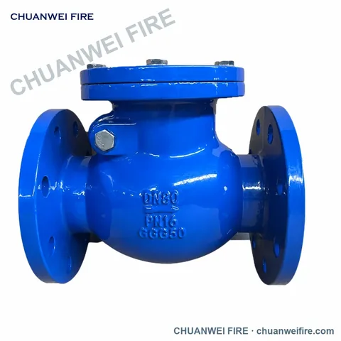 Swing Check Valves