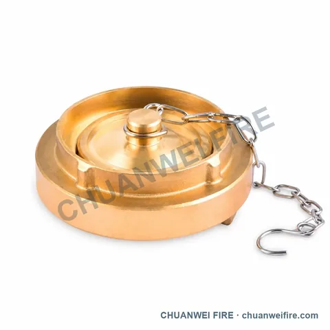 Disc-Type Chained Blank Cap — SP-037