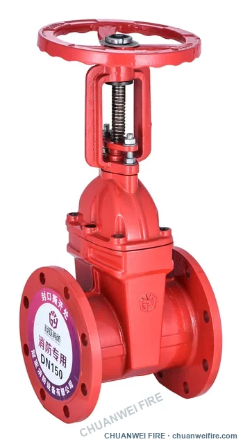 OS&Y flanged gate valve — sample view