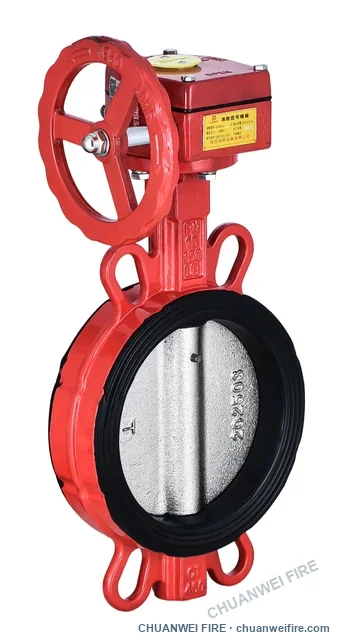 Wafer supervisory butterfly valve — open-disc view