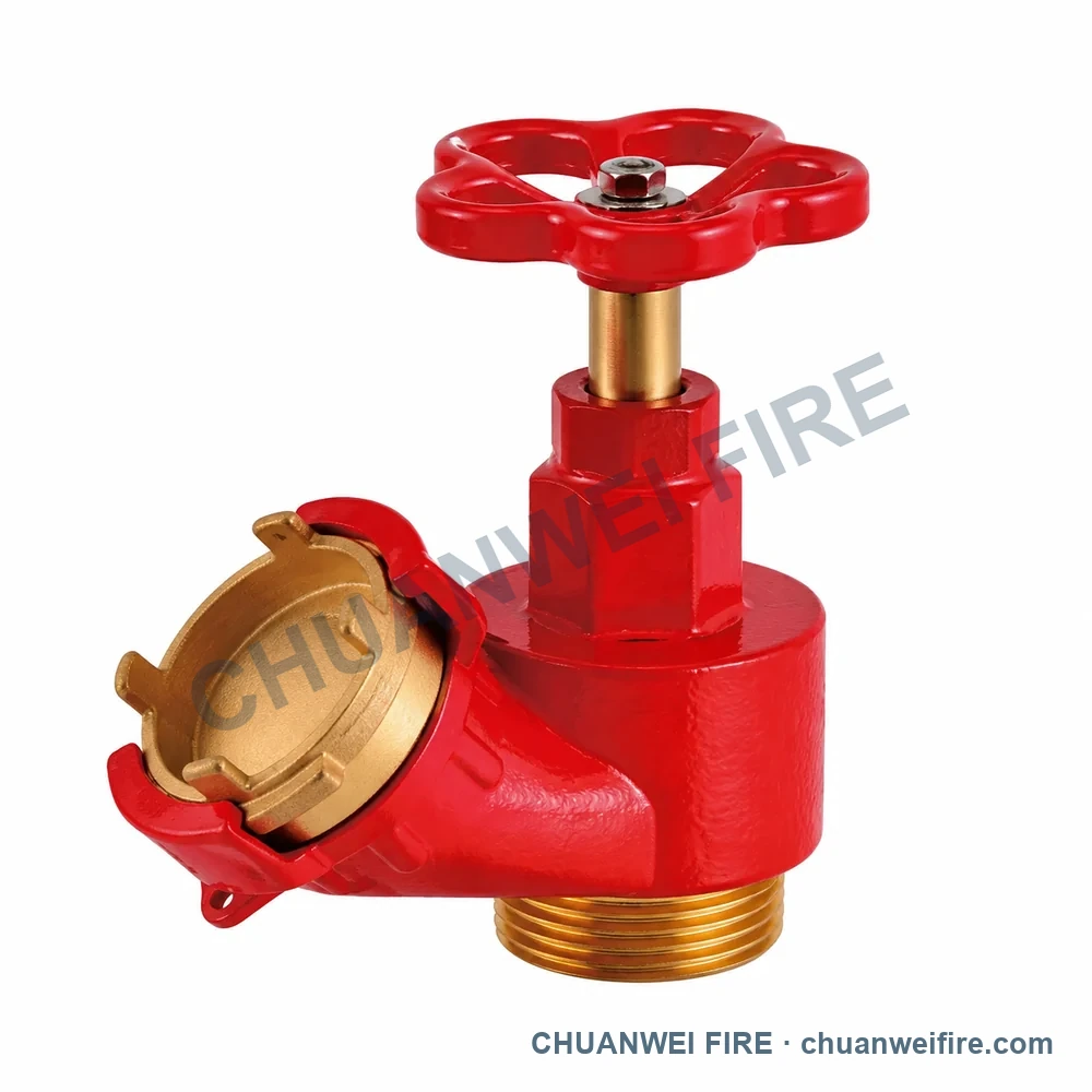 صورة توضيحية للمنتج صمام خرطوم حريق بالنمط الفرنسي مزود بغطاء — FS-020 / FS-021