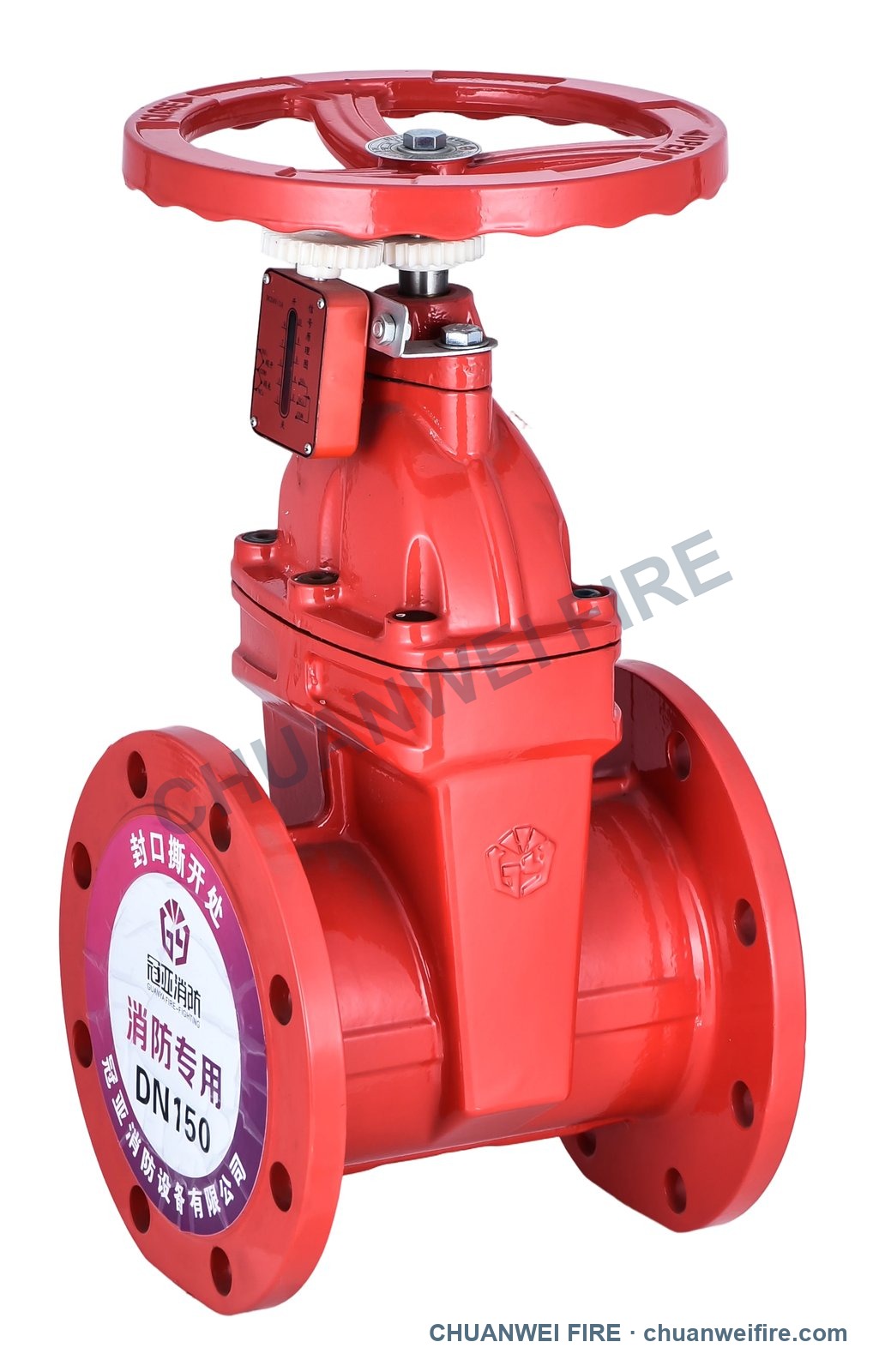 Enlarged flanged supervisory gate valve